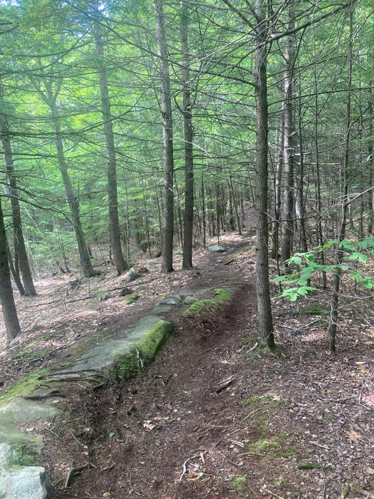 Kennebec Highlands - "A" Trail