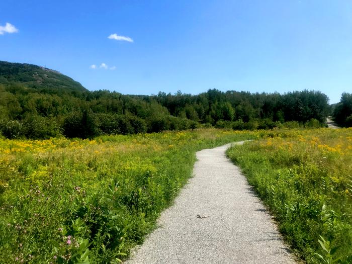 Accessible Trail (Credit: CMLT)