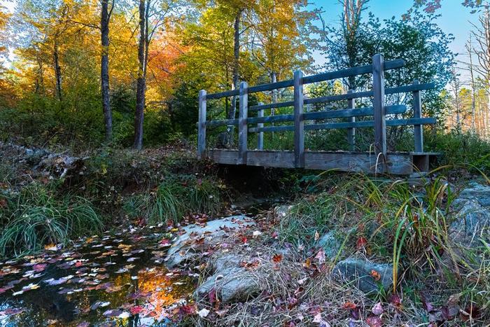 Antoinette Jackman Trail (Credit: FCT)