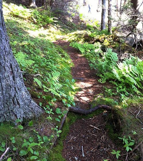 Burying Point Trail (Credit: FOSIL)