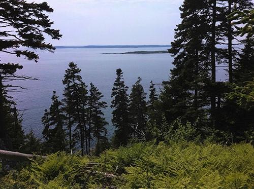 View from stone bench at end of accessible trail (Credit: FOSIL)