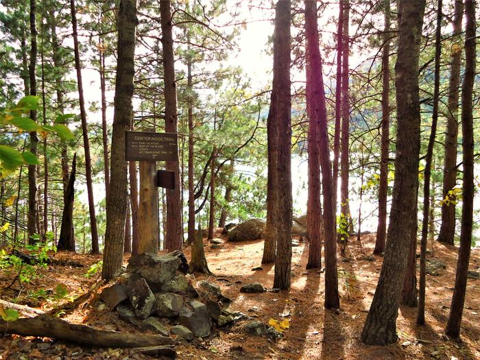 Trail junction, along Upper South Branch Pond (Credit: Hope Rowan)