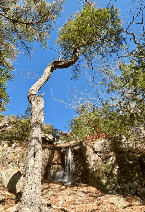 (Credit: Hope Rowan)