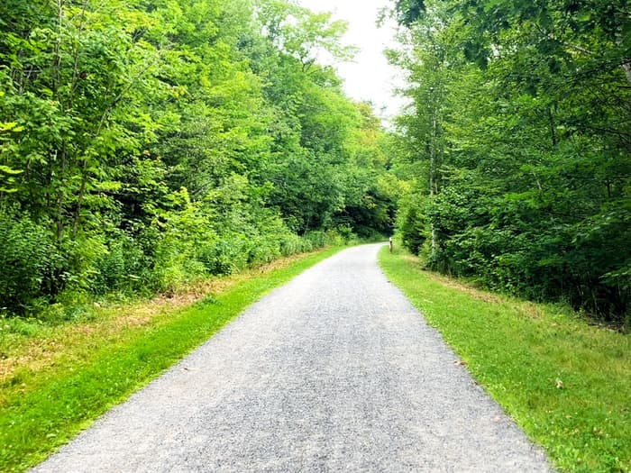 Typical trail (Credit: Hope Rowan)