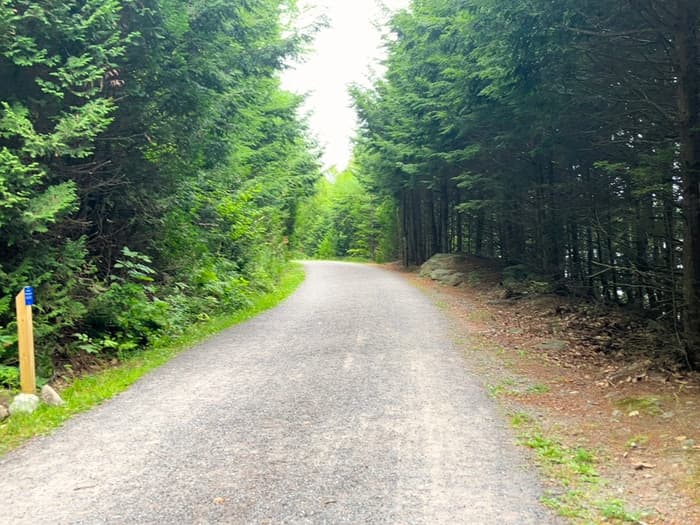 Typical trail (Credit: Hope Rowan)