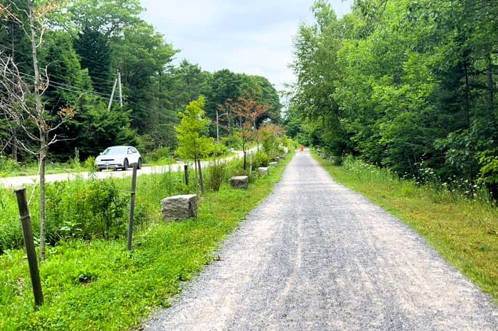 Short section of trail is along a road (Credit: Hope Rowan)