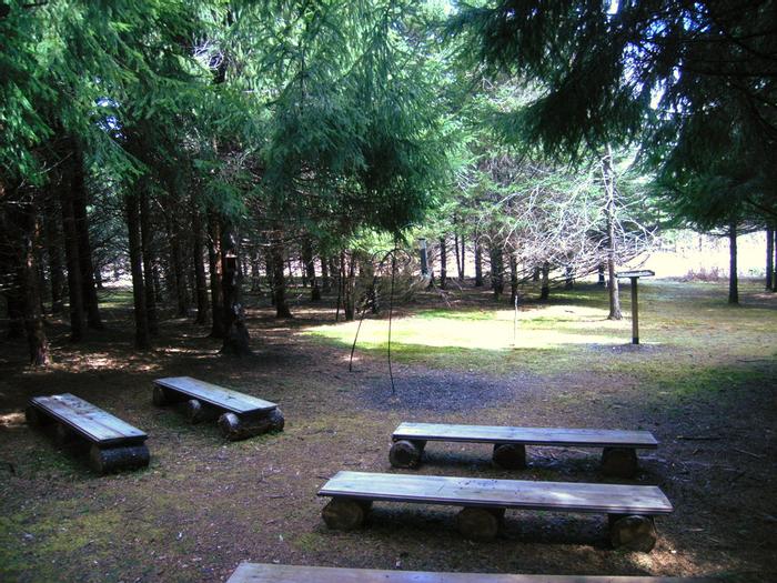 Bird feeding area (Credit: Aroostook Outdoors)