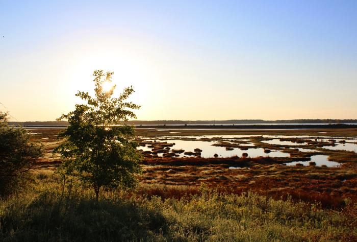 Early morning reflections on Scarborough Marsh (Credit: Rich Bard)