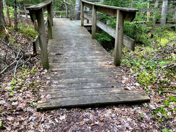 (Credit: Hope Rowan)