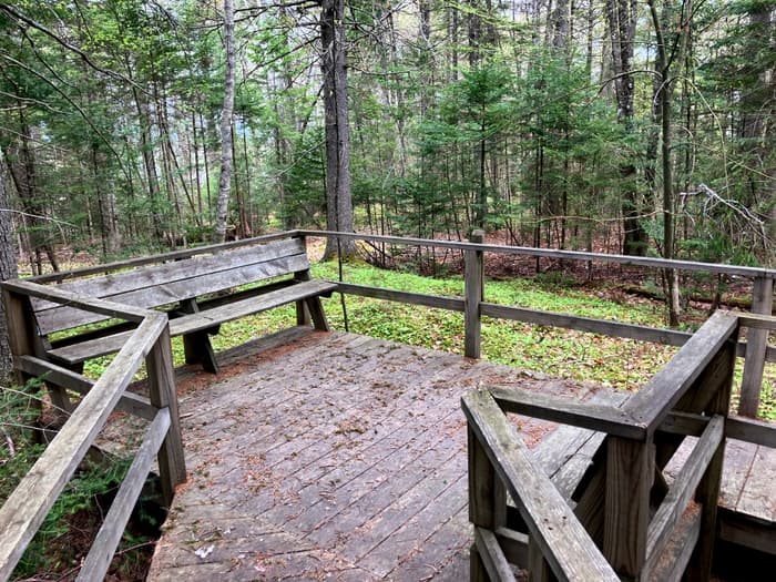 (Credit: Hope Rowan)