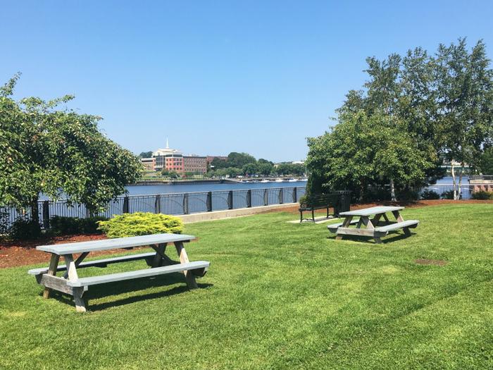 Picnic Area (Credit: Hope Rowan)