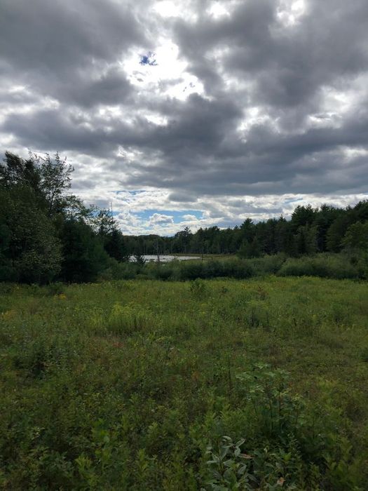 Hutchinson Pond Trail