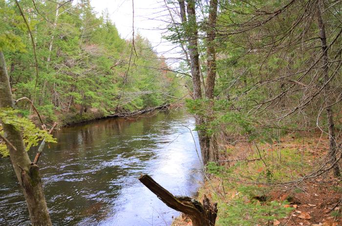 Crooked River (Credit: LELT)