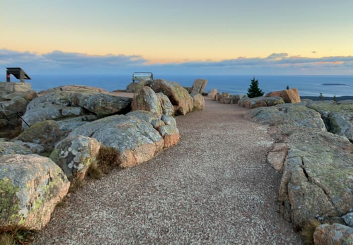 (Credit: Hope Rowan)