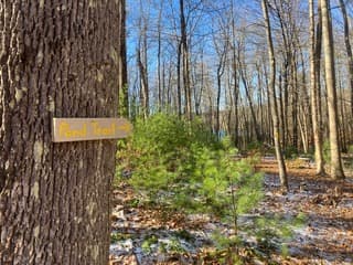 Carlton Pond Trail