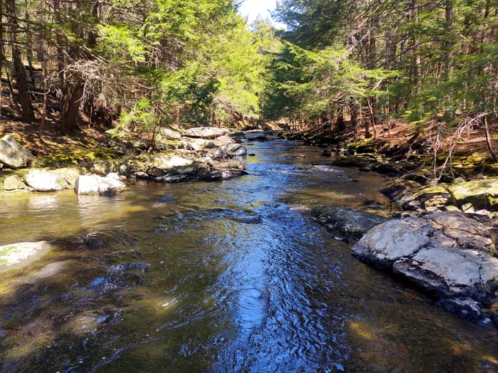 Chandler Brook (Credit: BPL)