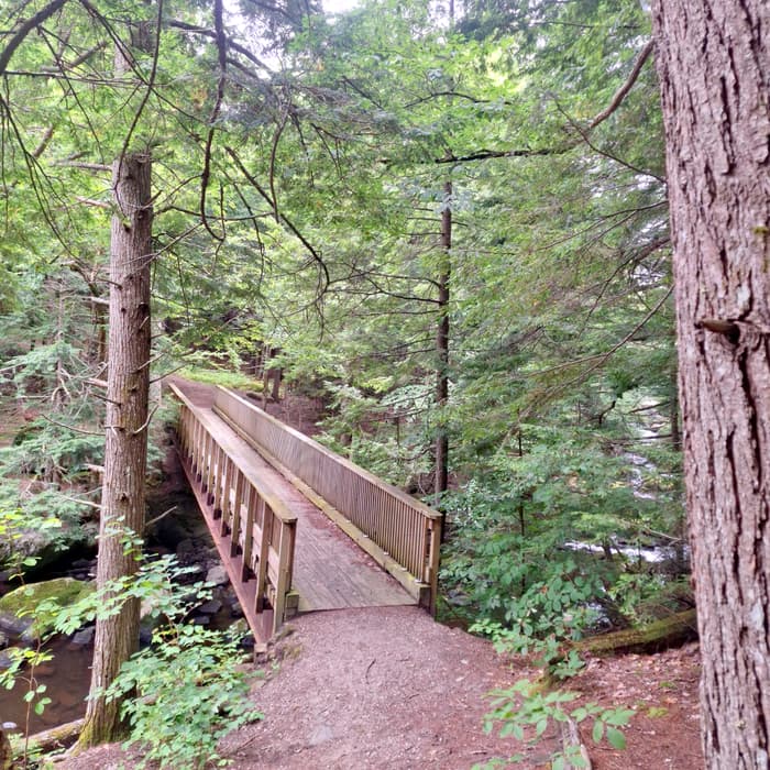 Chandler Brook Bridge