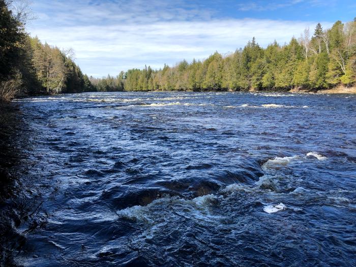 Class II rapids at Ledge Falls, near North Bancroft (Credit: Zip Kellogg)