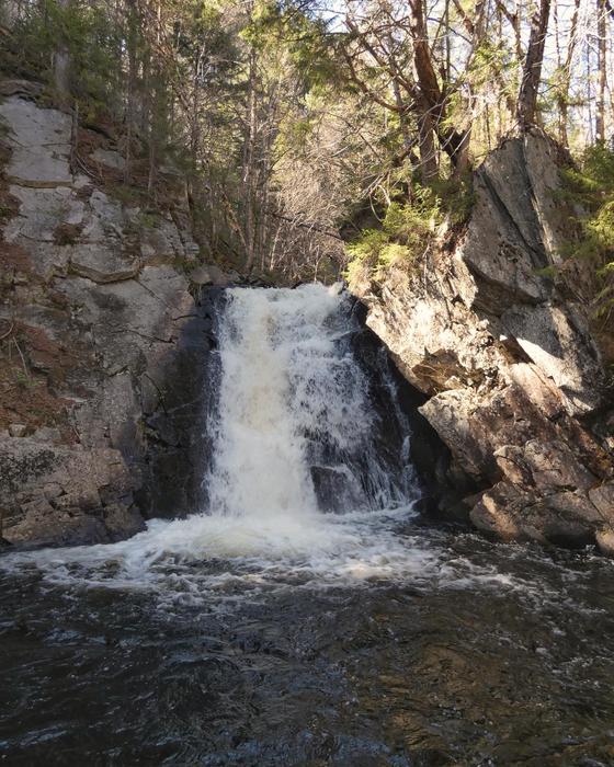 Cold Stream Falls (Credit: Maine BPL)