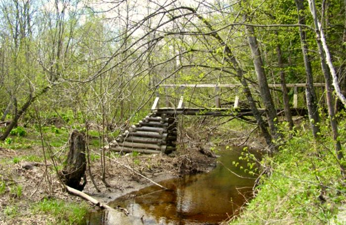 (Credit: Sebasticook Regional Land Trust)