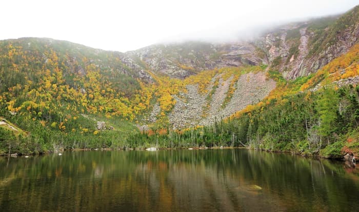 Davis Pond (Credit: Hope Rowan)