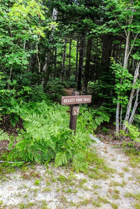 Deasey Ponds Trailhead (Credit: NPS / Alyssa Mattei)