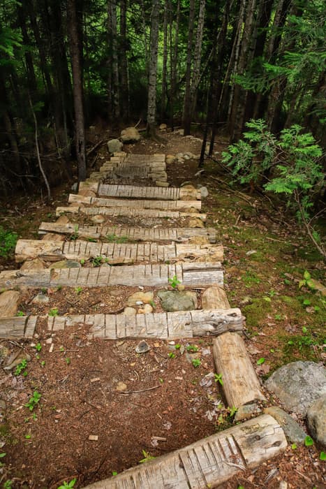 Deasey Ponds Trail (Credit: NPS / Alyssa Mattei)