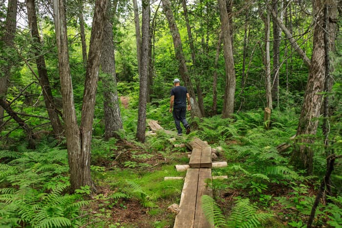 Deasey Ponds Trail (Credit: NPS / Alyssa Mattei)