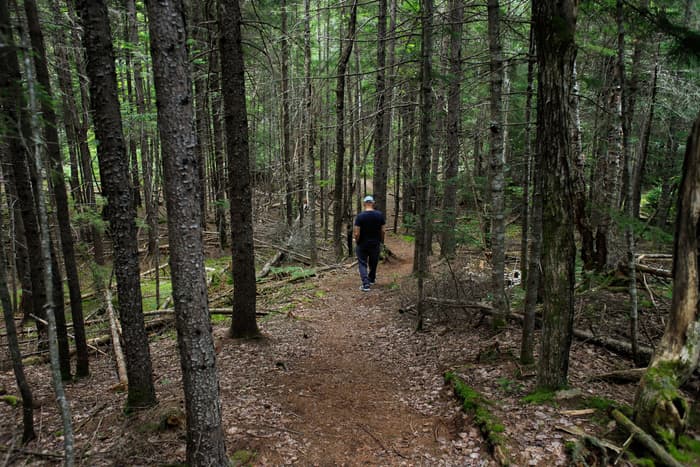 Deasey Ponds Trail (Credit: NPS / Alyssa Mattei)