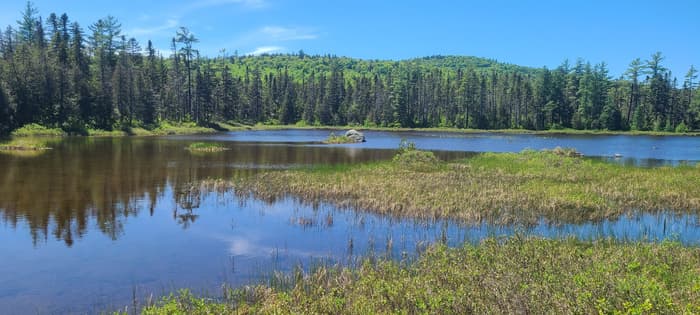 Deasey Pond (Credit: NPS / K. Stauffer)