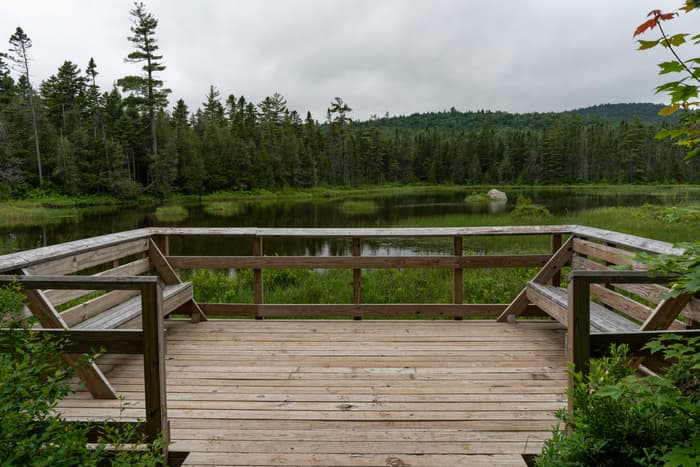 Deasey Ponds Viewing Platform (Credit: NPS / Gin Majka)