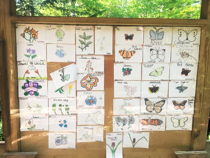 Display Board at Outdoor Classroom (Credit: Hope Rowan)