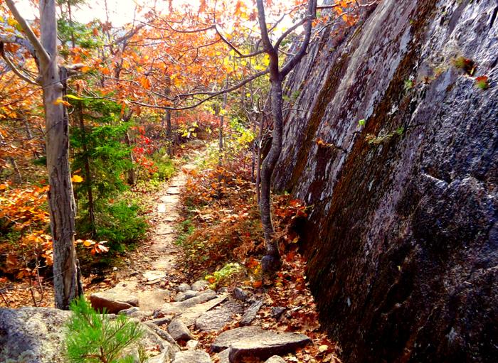 Acadia National Park - Kurt Diederichs Climb & Homans Path Loop