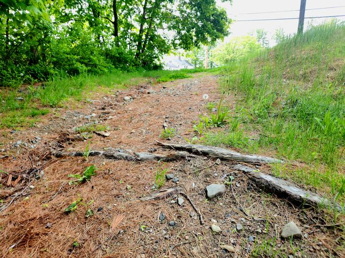 Washed out hill to access trail (Credit: Enock Glidden)