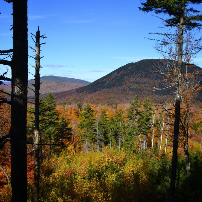 Elephant Mountain Vista (Credit: Bureau of Parks and Lands)