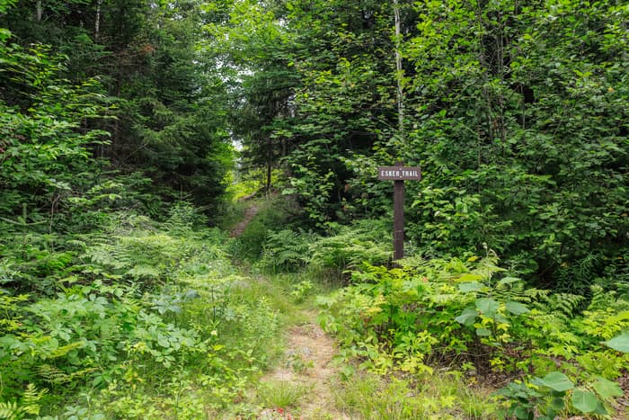 Esker Wetland Trailhead (Credit: NPS / Alyssa Mattei)