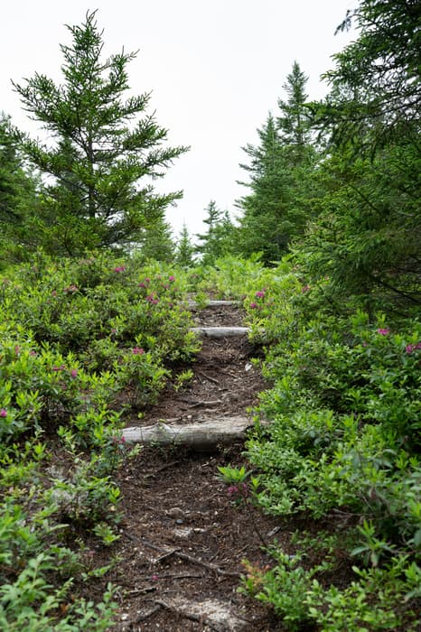 Esker Wetland Trail (Credit: NPS / Gin Majka)