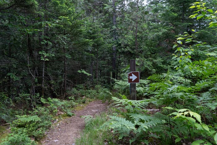 Esker Wetland Trail (Credit: NPS / Gin Majka)