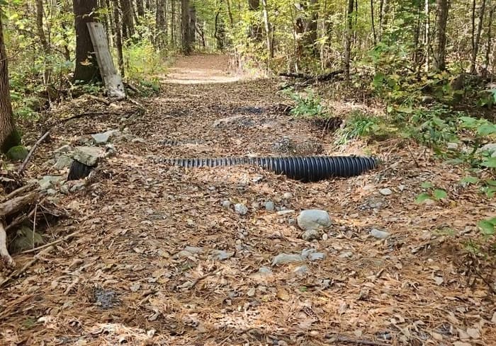 (Credit: Enock Glidden)