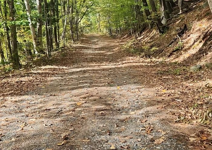 (Credit: Enock Glidden)