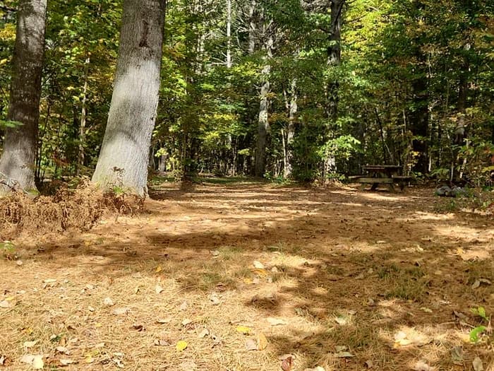 (Credit: Enock Glidden)