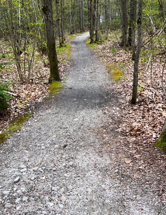 (Credit: Kara Wooldrik)