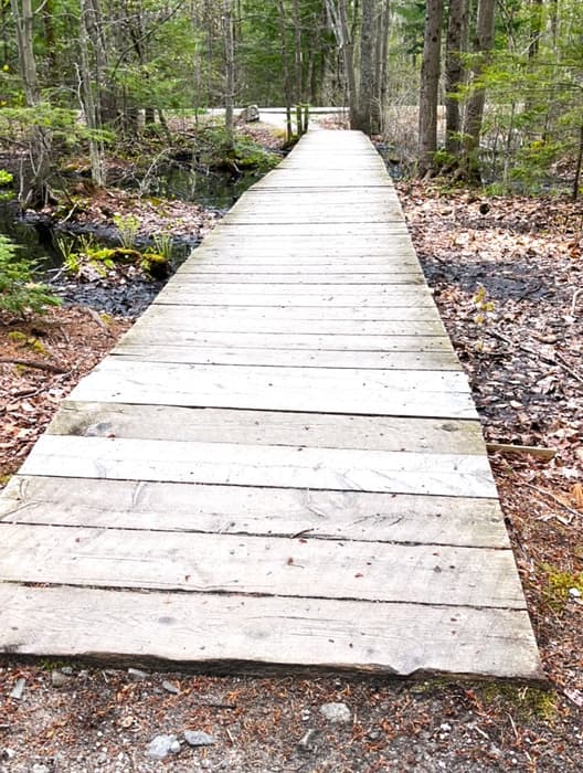 (Credit: Kara Wooldrik)