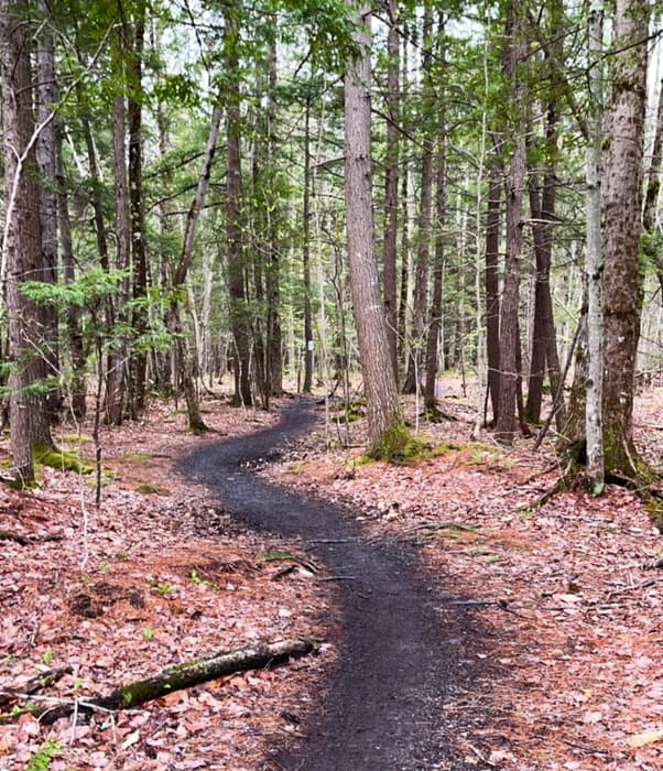 (Credit: Kara Wooldrik)