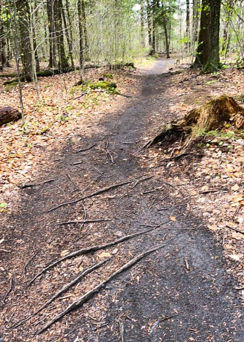 (Credit: Kara Wooldrik)