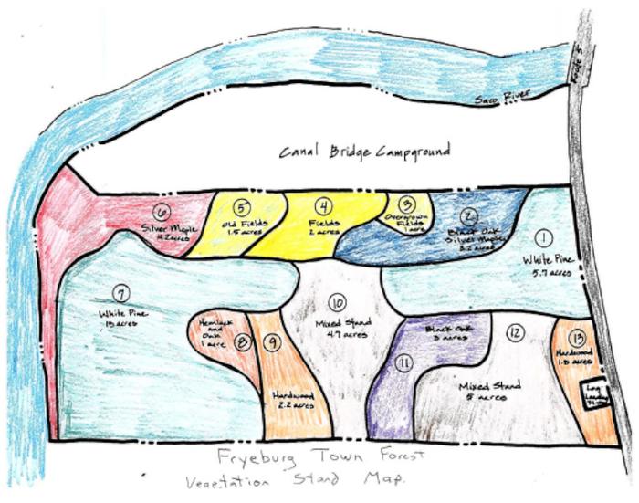 Vegetation Stand Map (Credit: Fryeburg Conservation Commission)