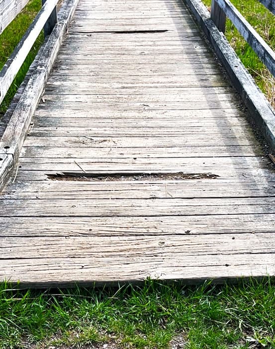 Bridge on Hayfield Trail (Credit: Kara Wooldrik)
