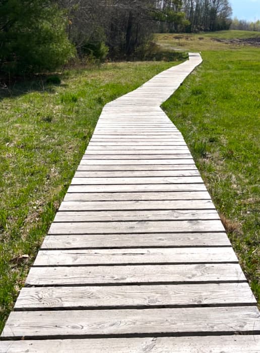 Boardwalk on Hayfield Trail (Credit: Kara Wooldrik)