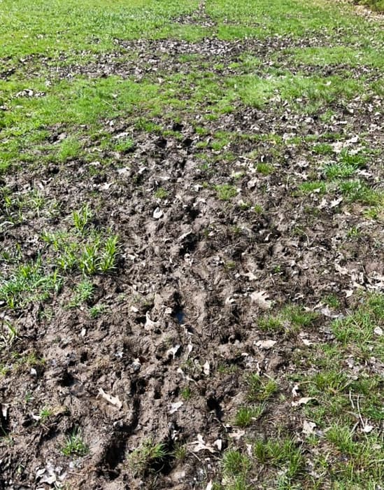 Mud on Hayfield Trail (Credit: Kara Wooldrik)