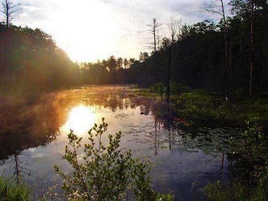 Wellman Pond (Credit: Cliff White)